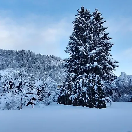 Apartment-alpenfantasie Daire